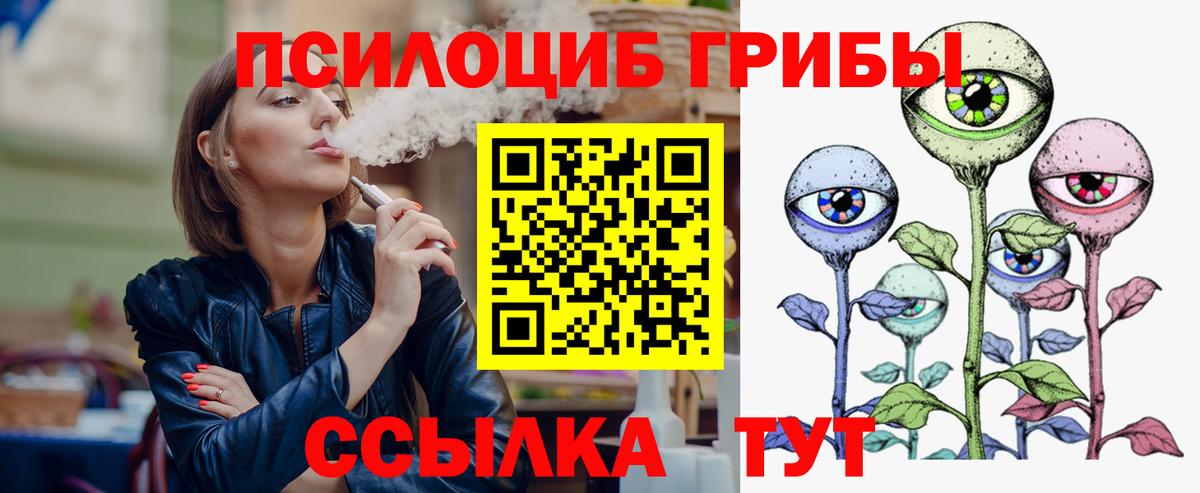 Хабаровск  Псилоцибиновые грибы мицелий  Псилоцибиновые грибы MAGIC MUSHROOMS  Вход с VPN 